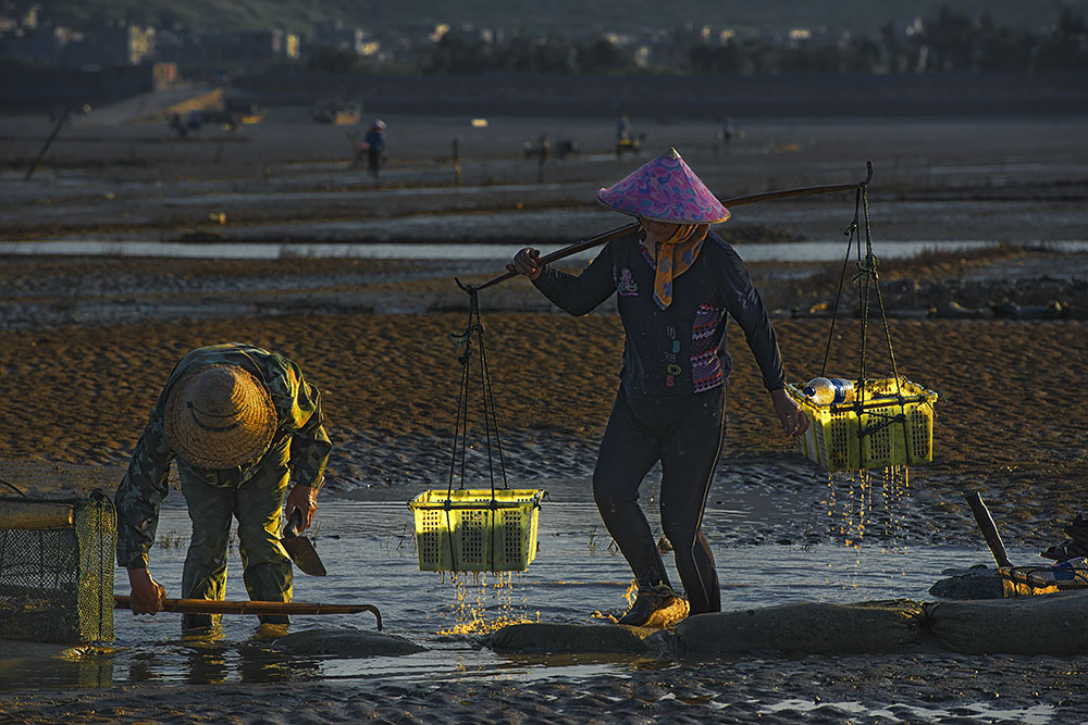 赶海人