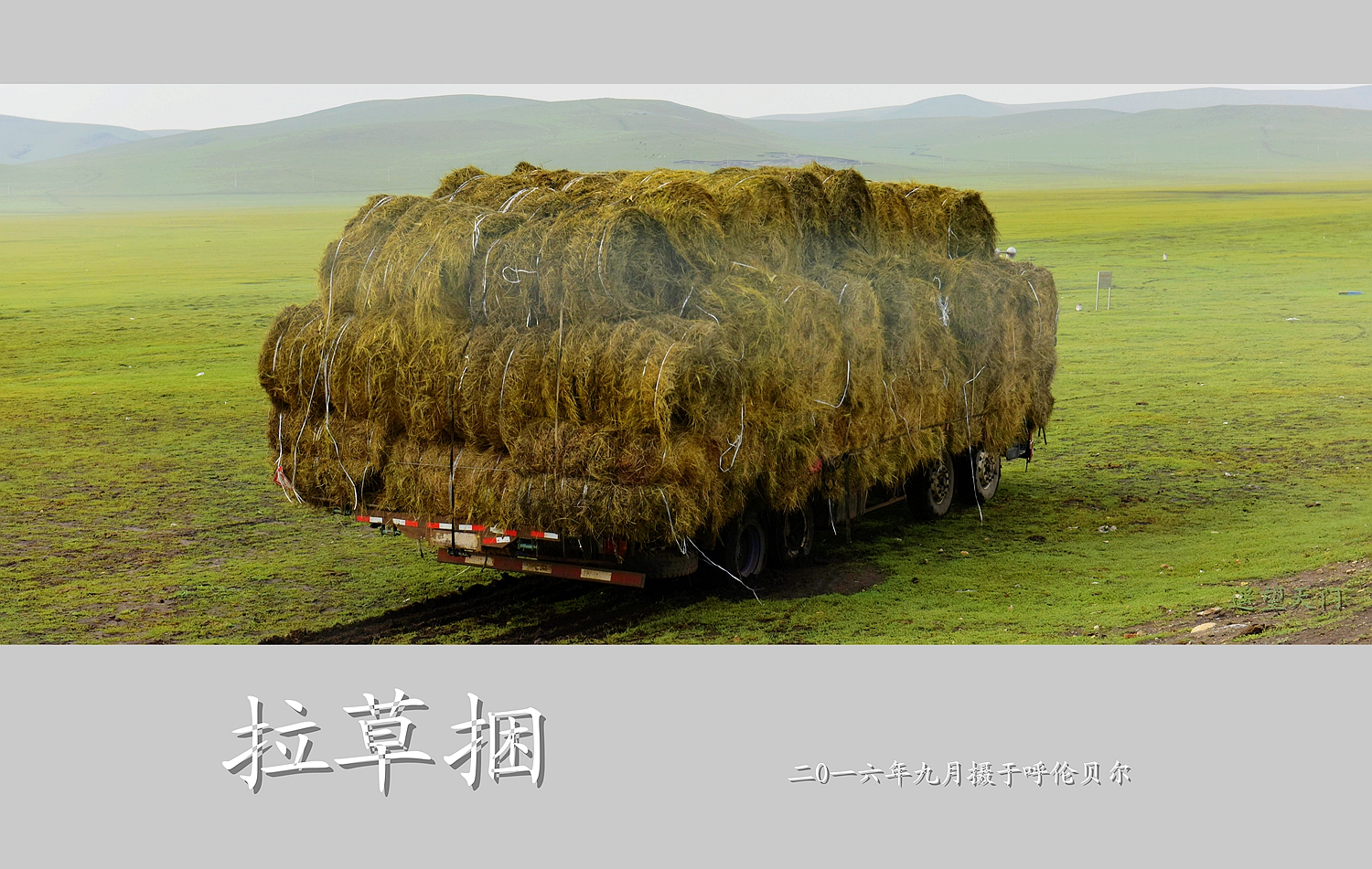 拉草梱