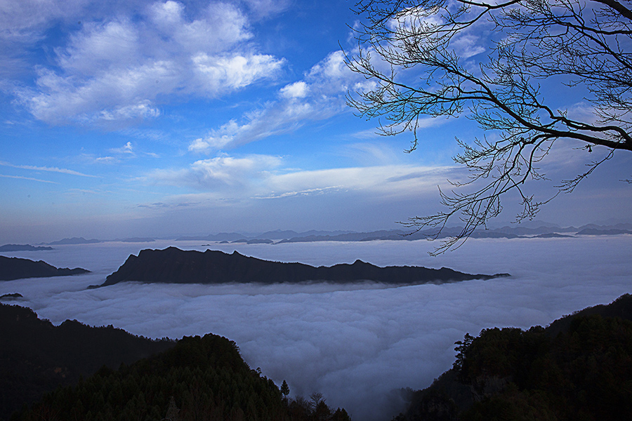 天子山云海