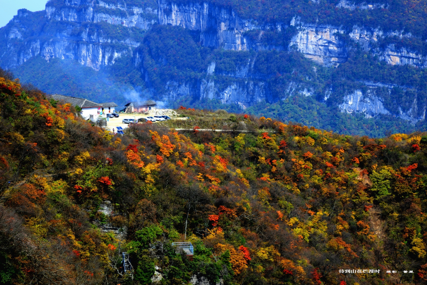 待到山花烂漫时