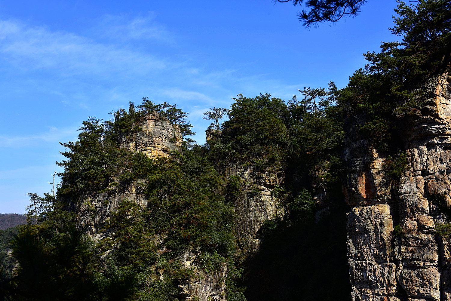 杨家界小景