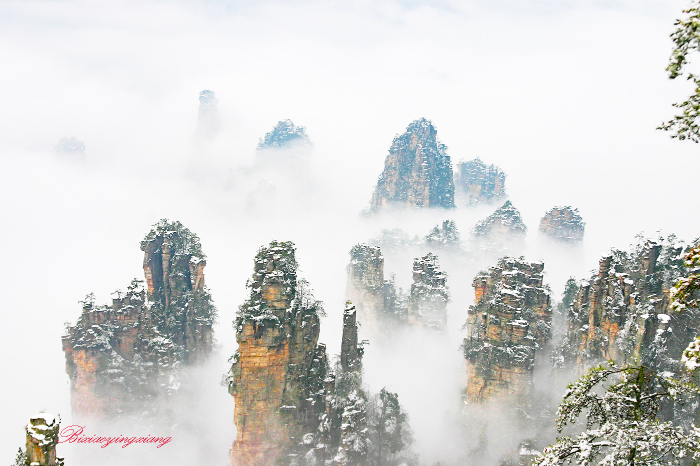 张家界地貌风景