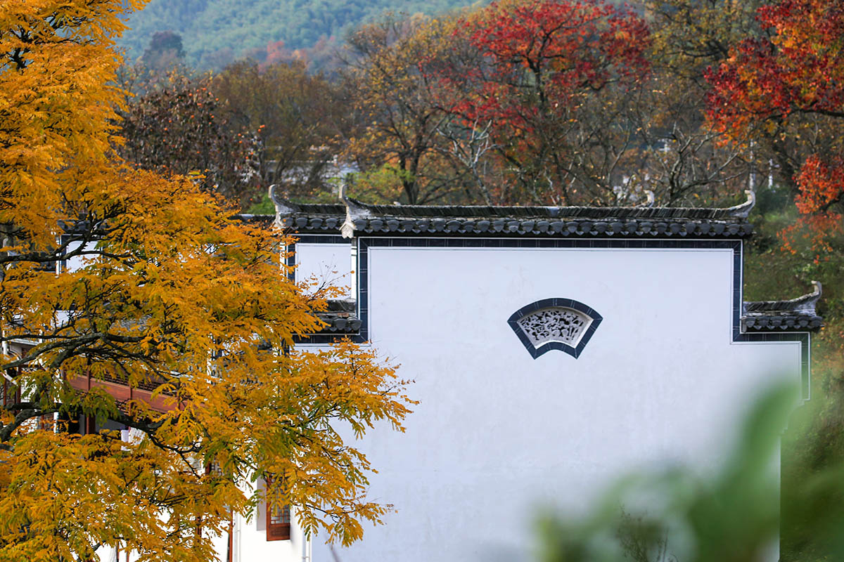 江南秋色