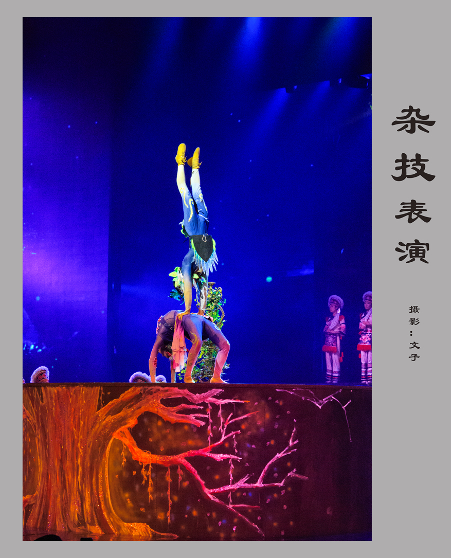 杂技表演
