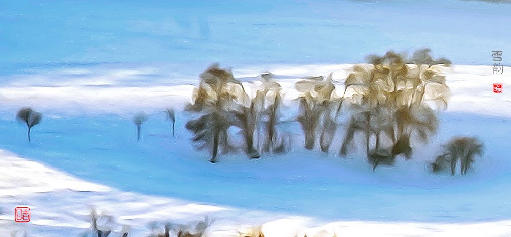 雪韵