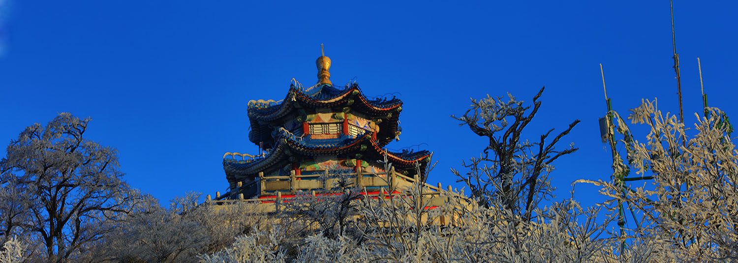 雪中独姿