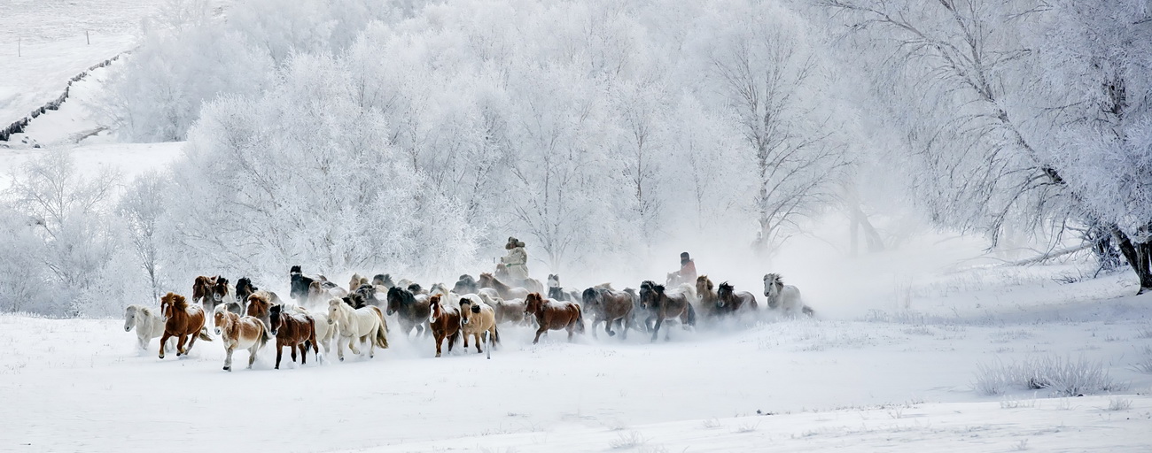 雪域坝上