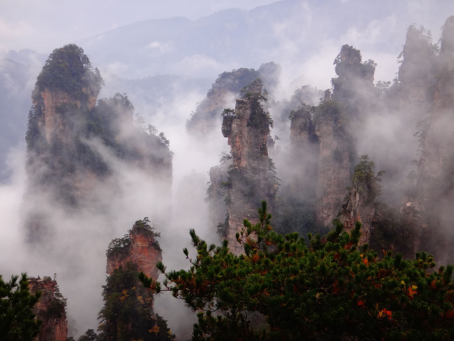 山隐峰林