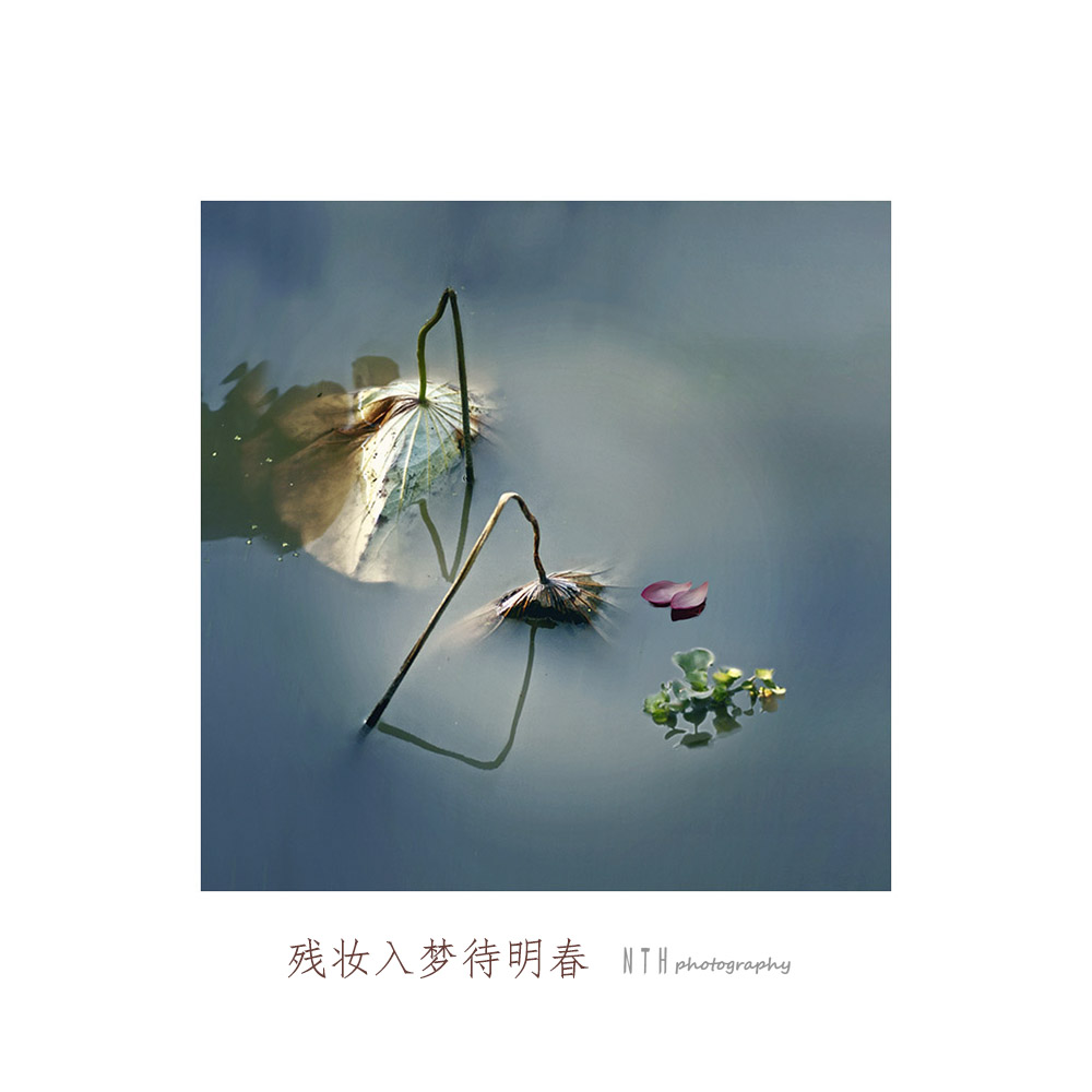 残妆入梦待明春