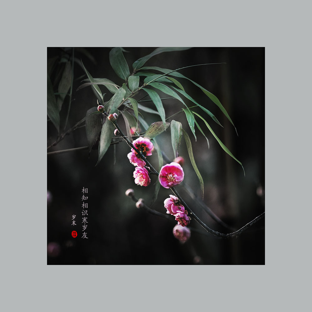相映