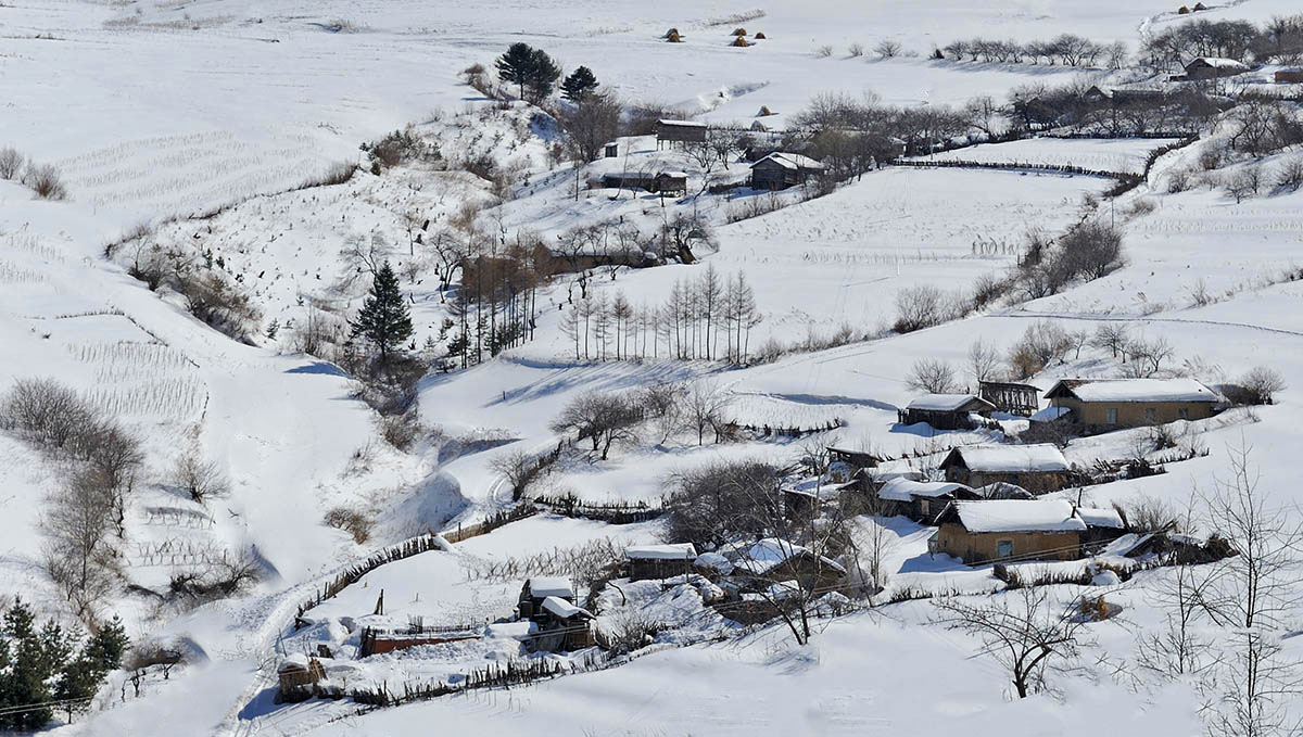 雪村松岭