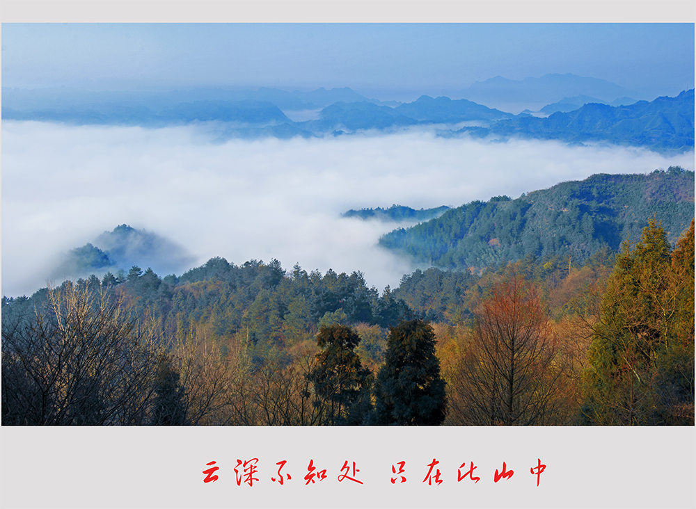 云深不知处