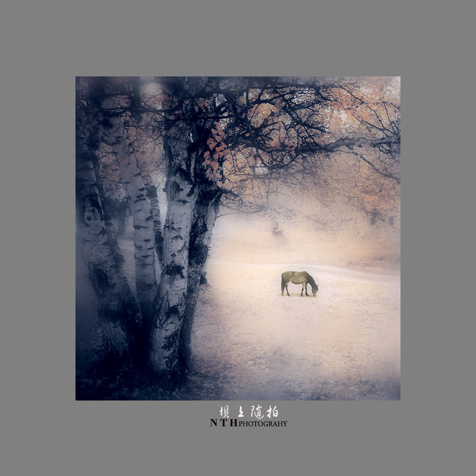 坝上小景