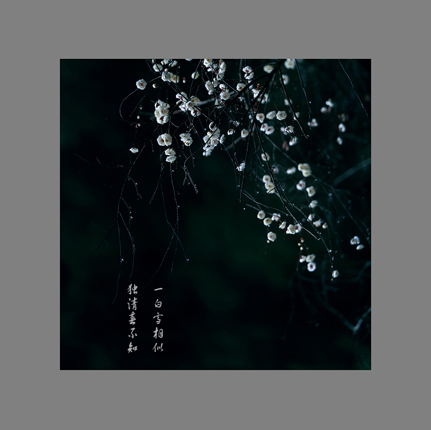 梅