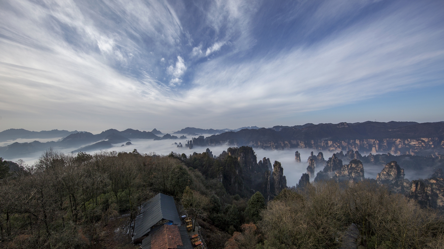 冬末初春天子山
