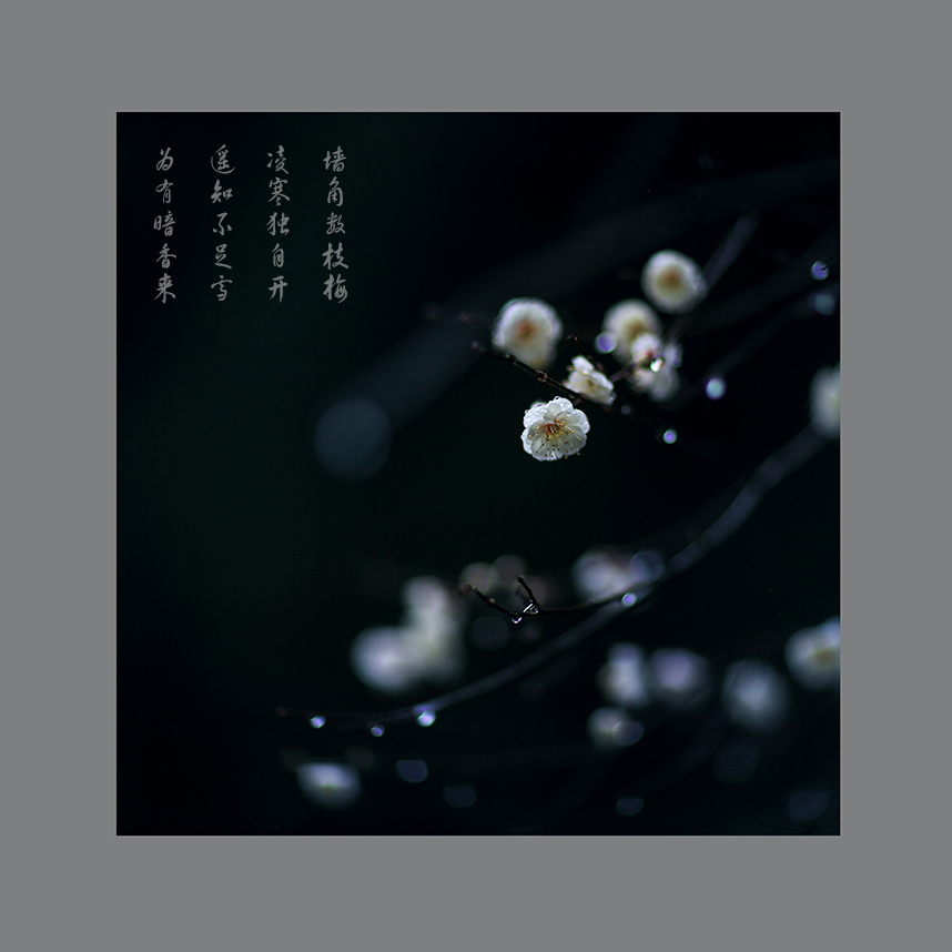 暗香