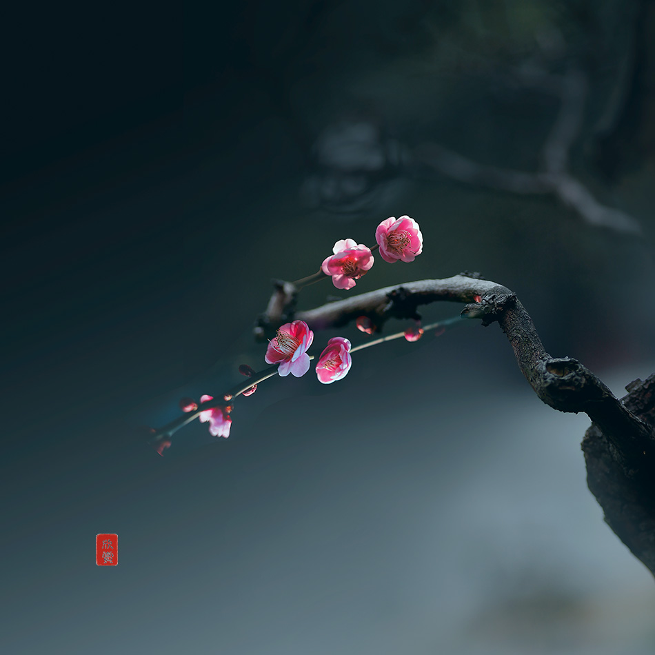 争春