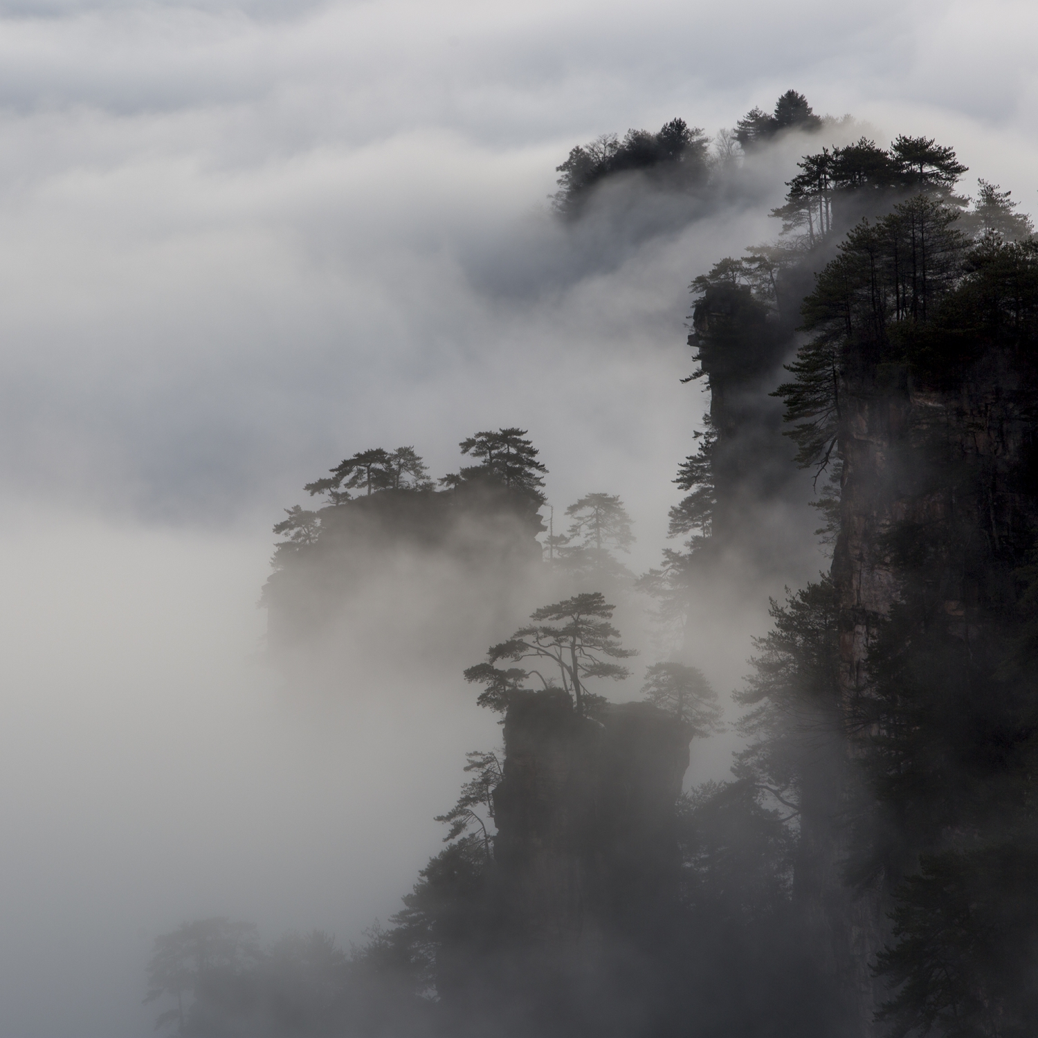烟雨天子山