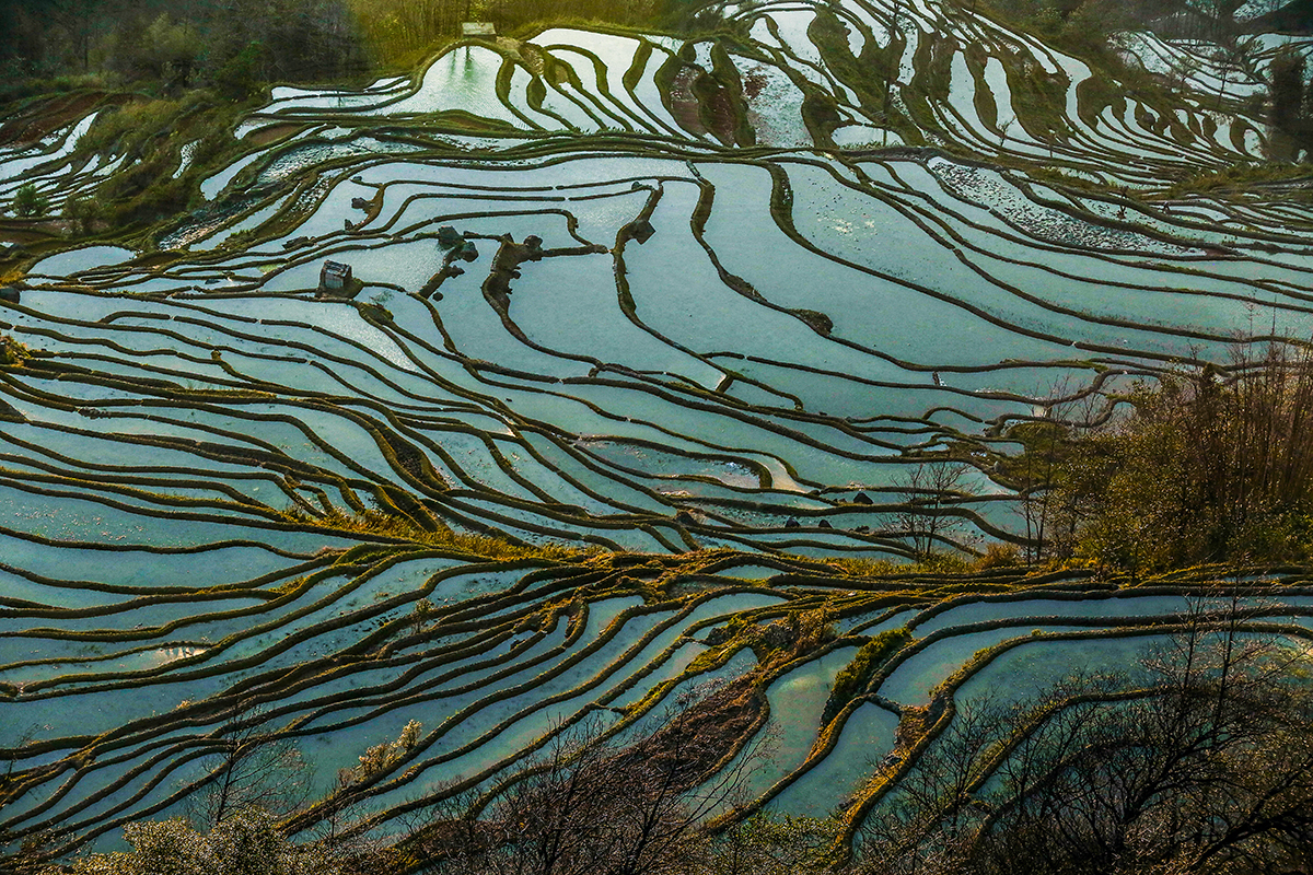 多彩的大地！