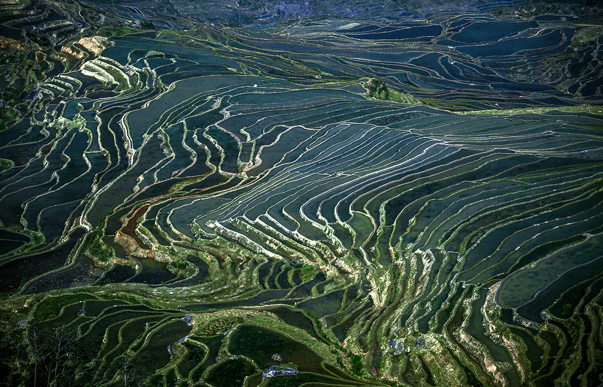 多姿多彩的土地