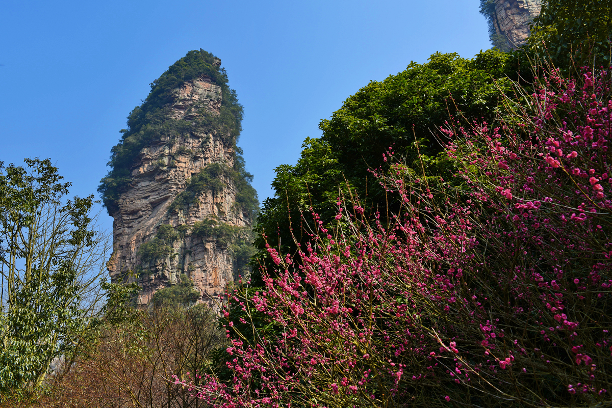 春到黄石寨