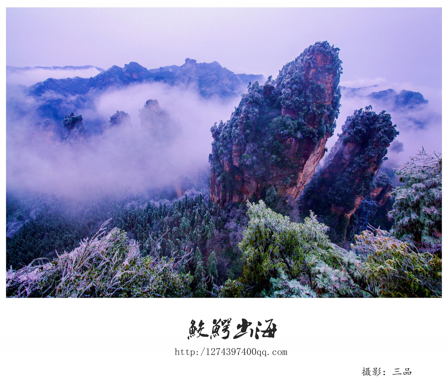 鲛鳄出海