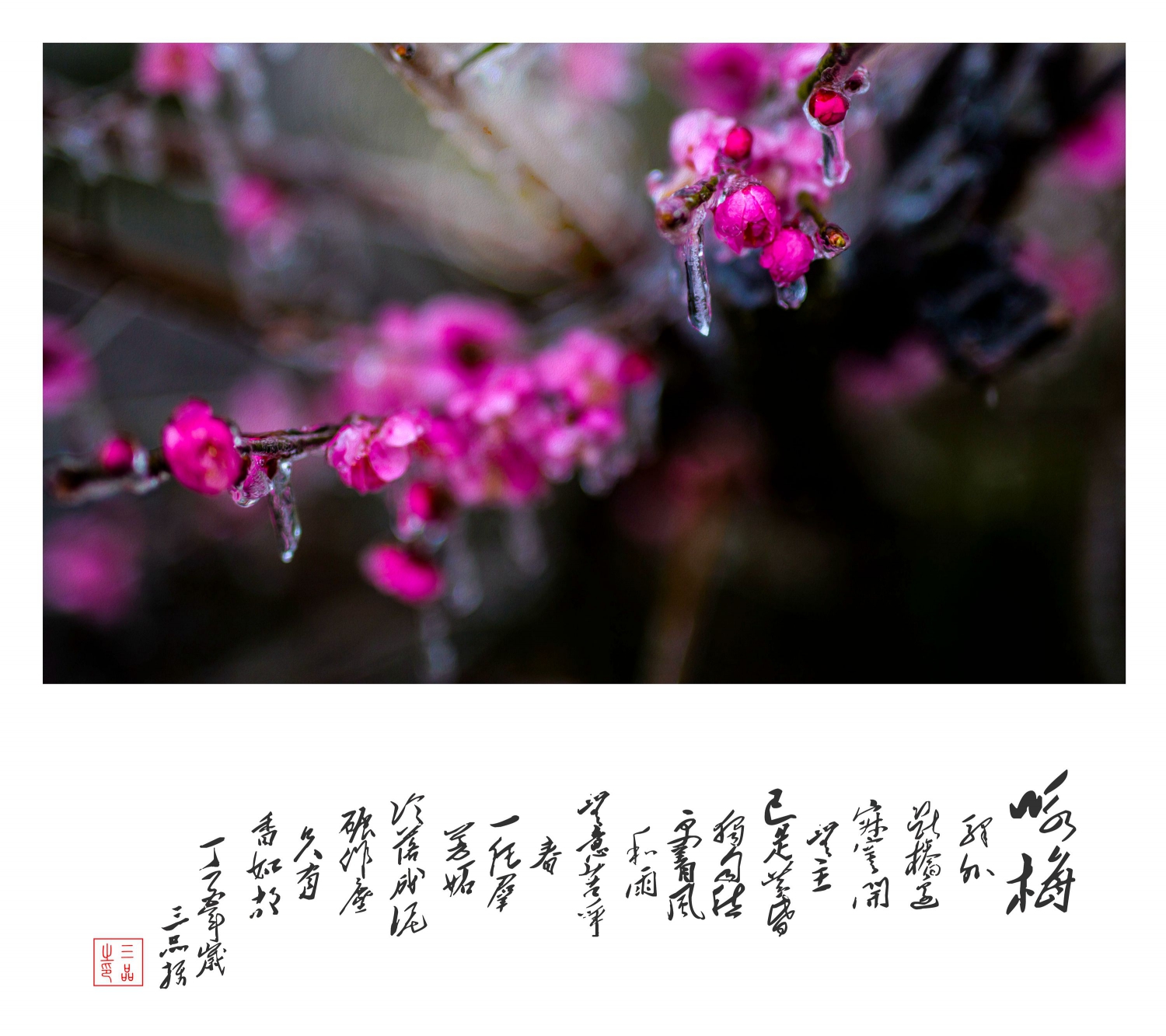 咏梅