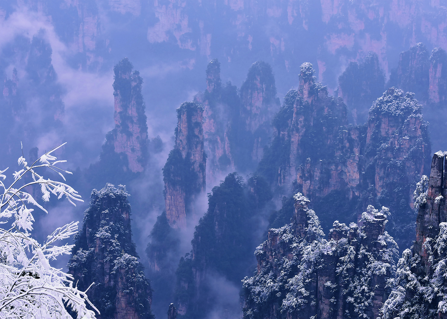天子山雪韵