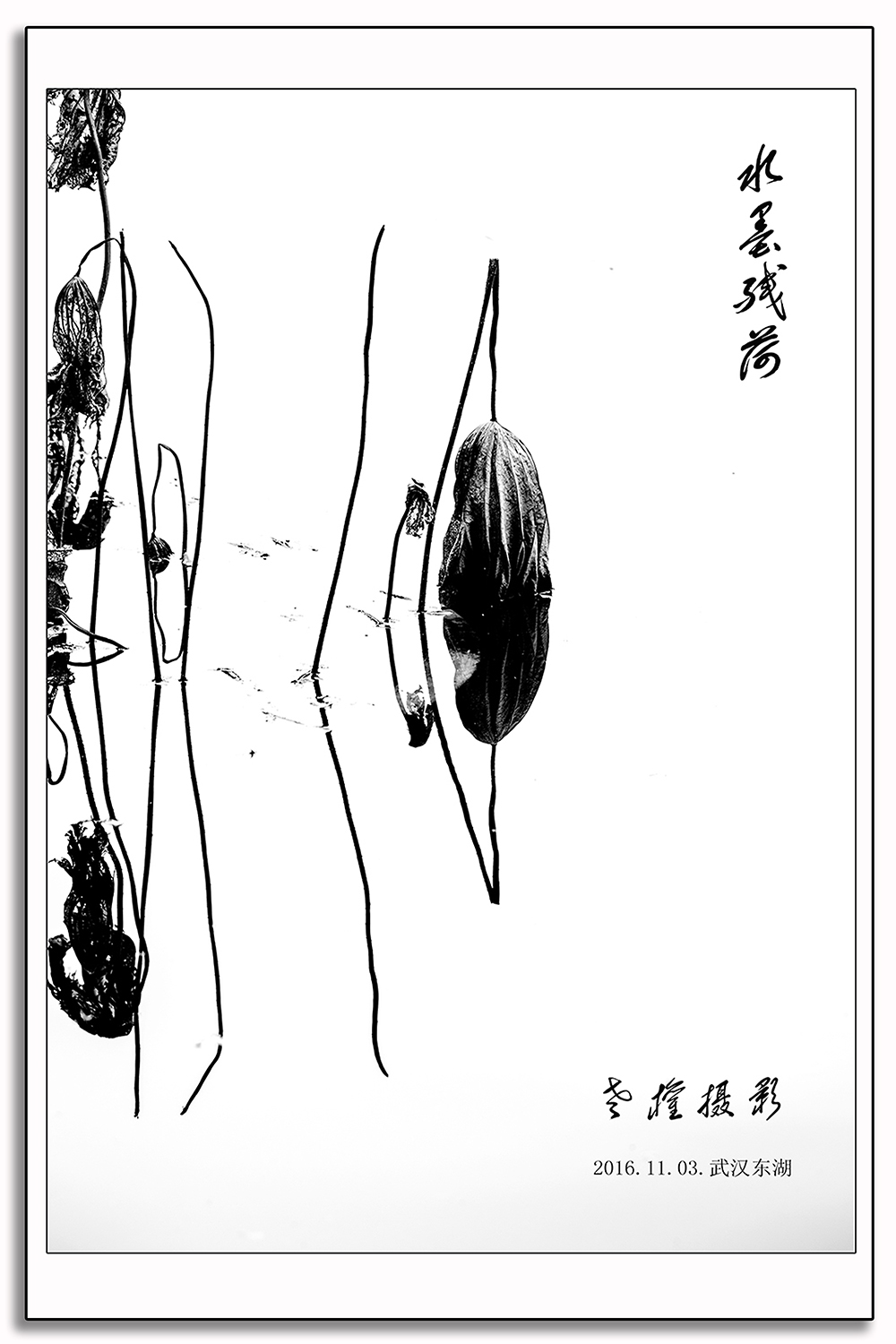 残荷-1
