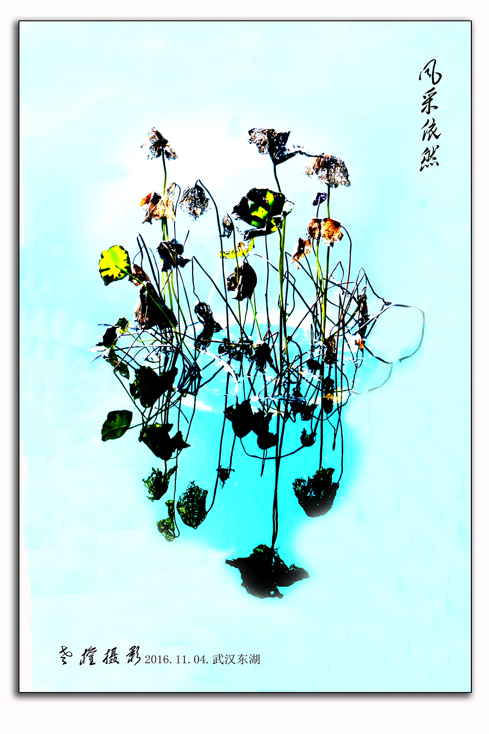 残荷-3