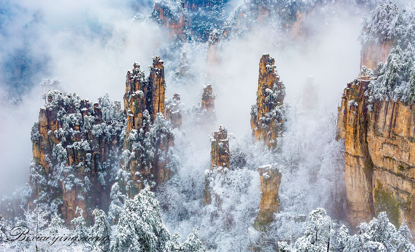 春雪妖娆