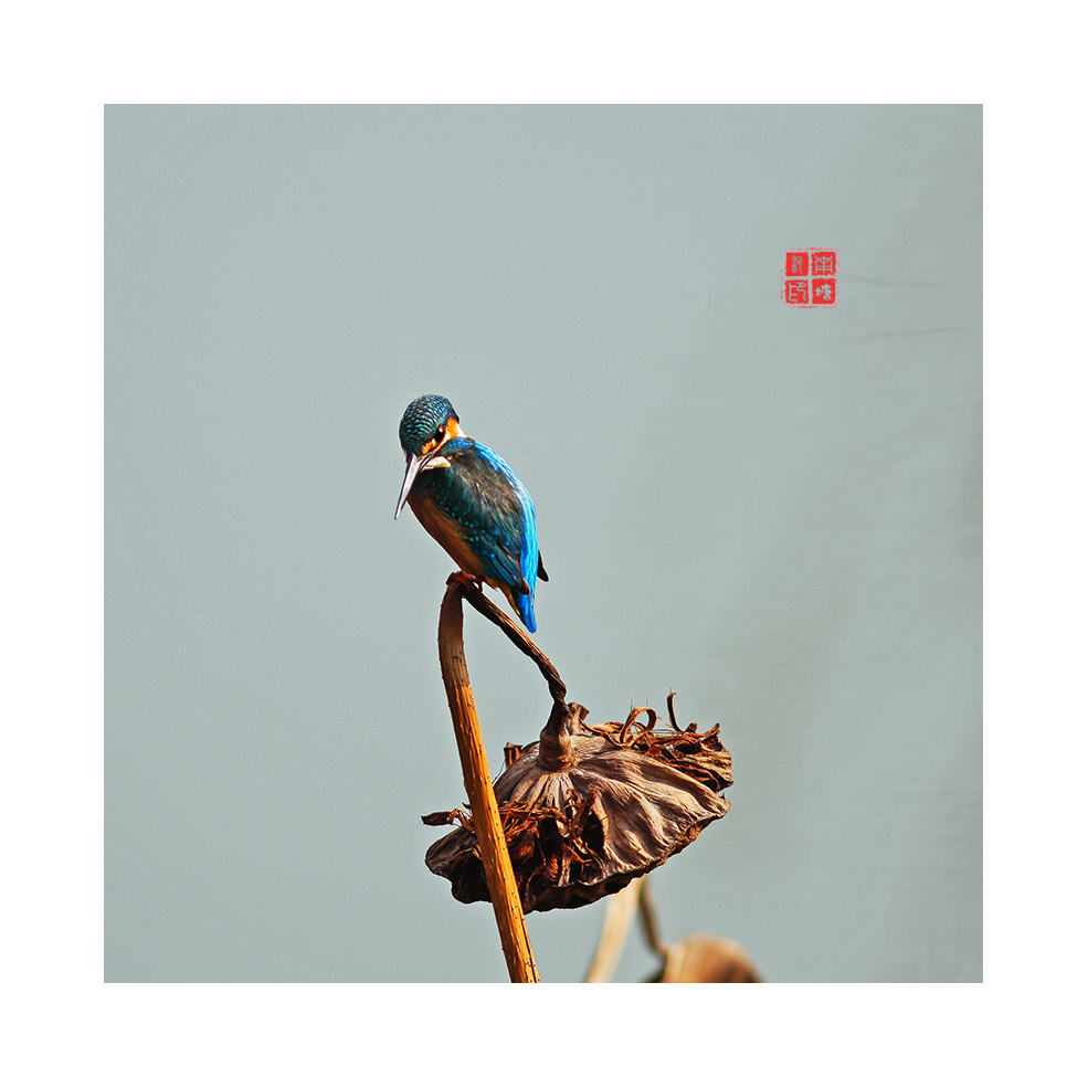 小翠