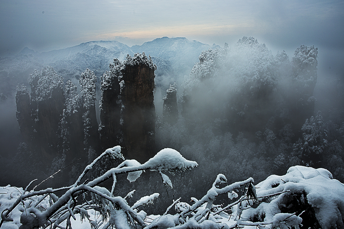 飞雪迎春