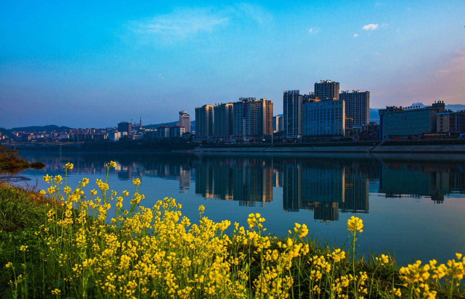 庸城春早