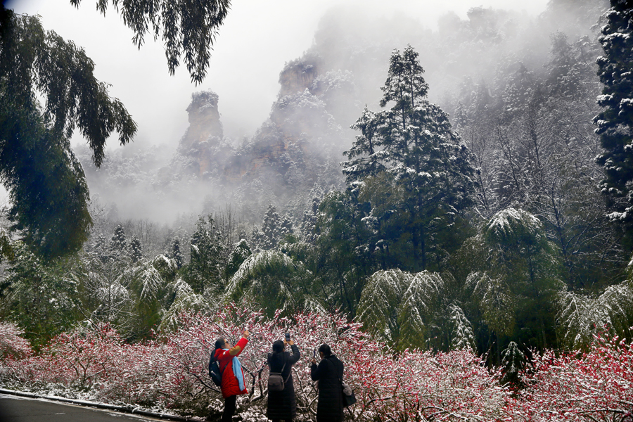 三友傲雪