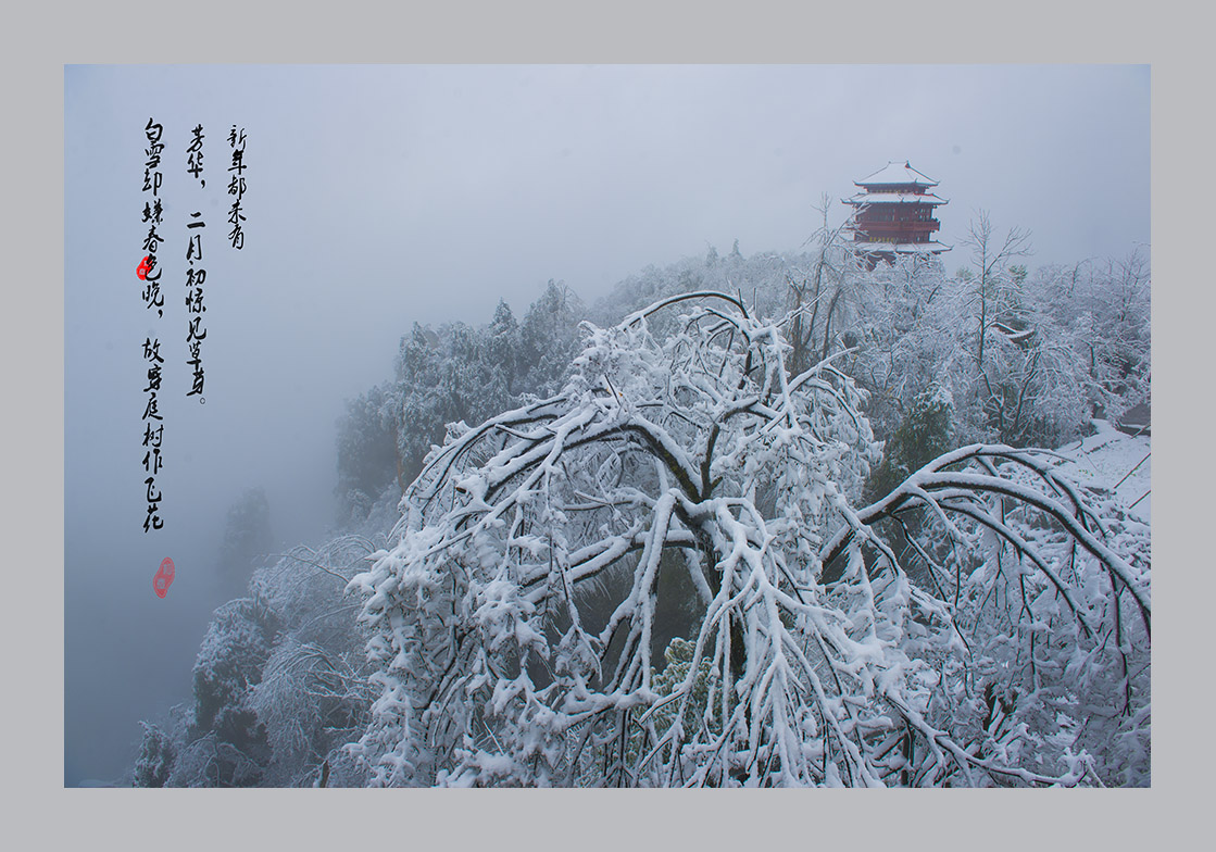 雪韵