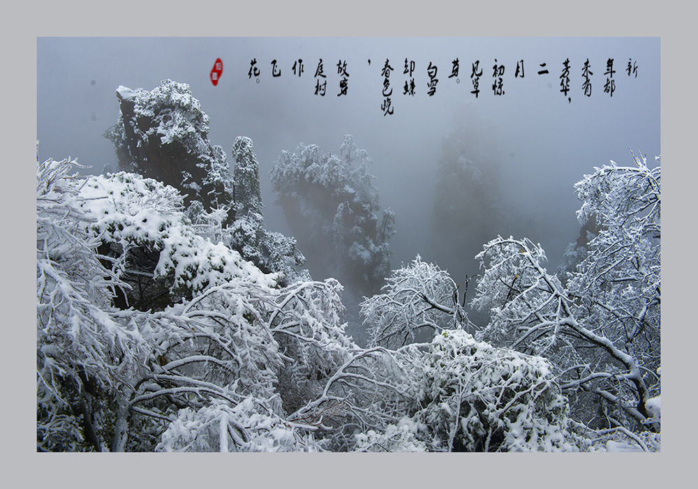 无题