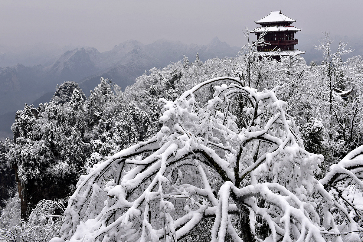 瑞雪兆丰年