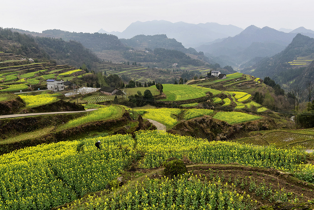 美丽山村