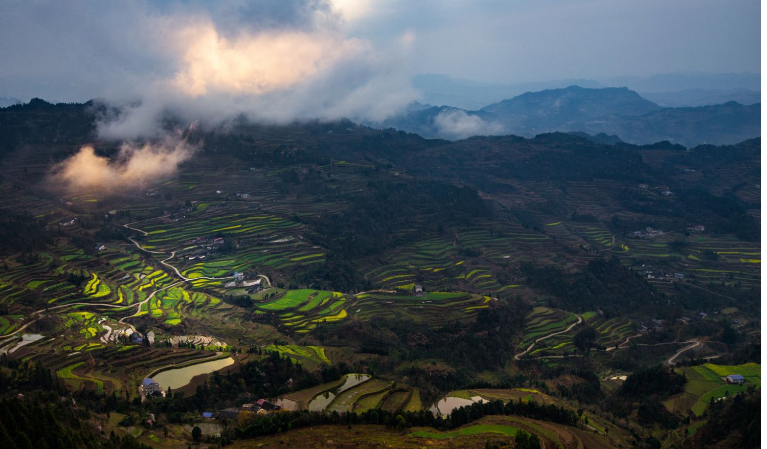 龙凤梯田