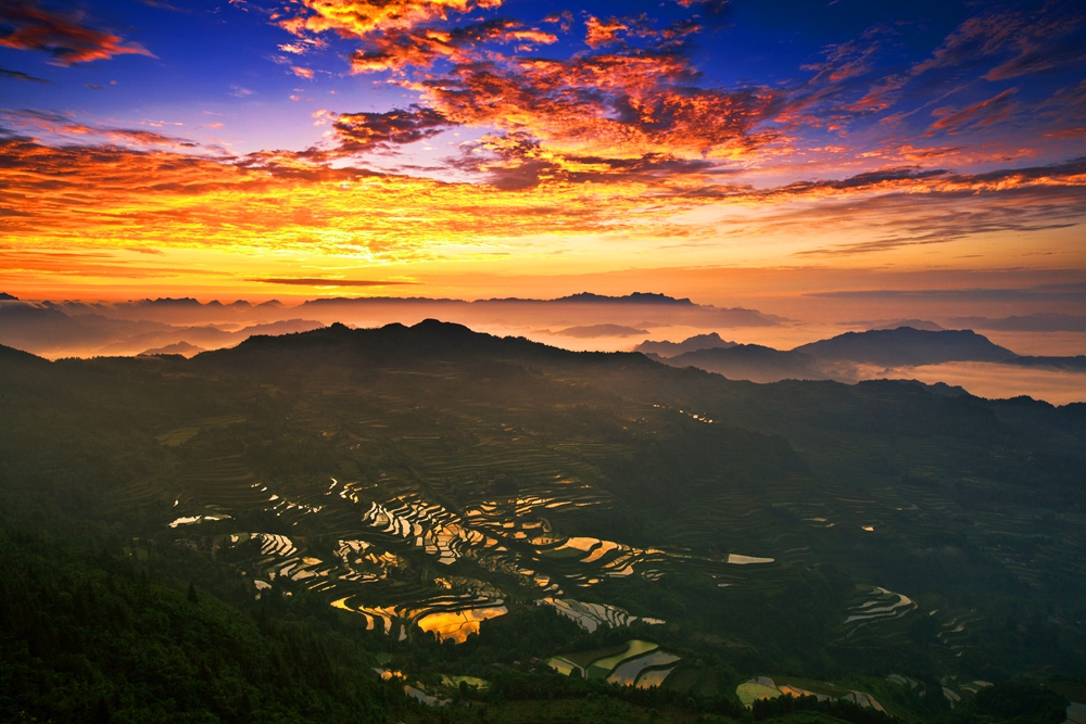 龙凤梯田朝霞