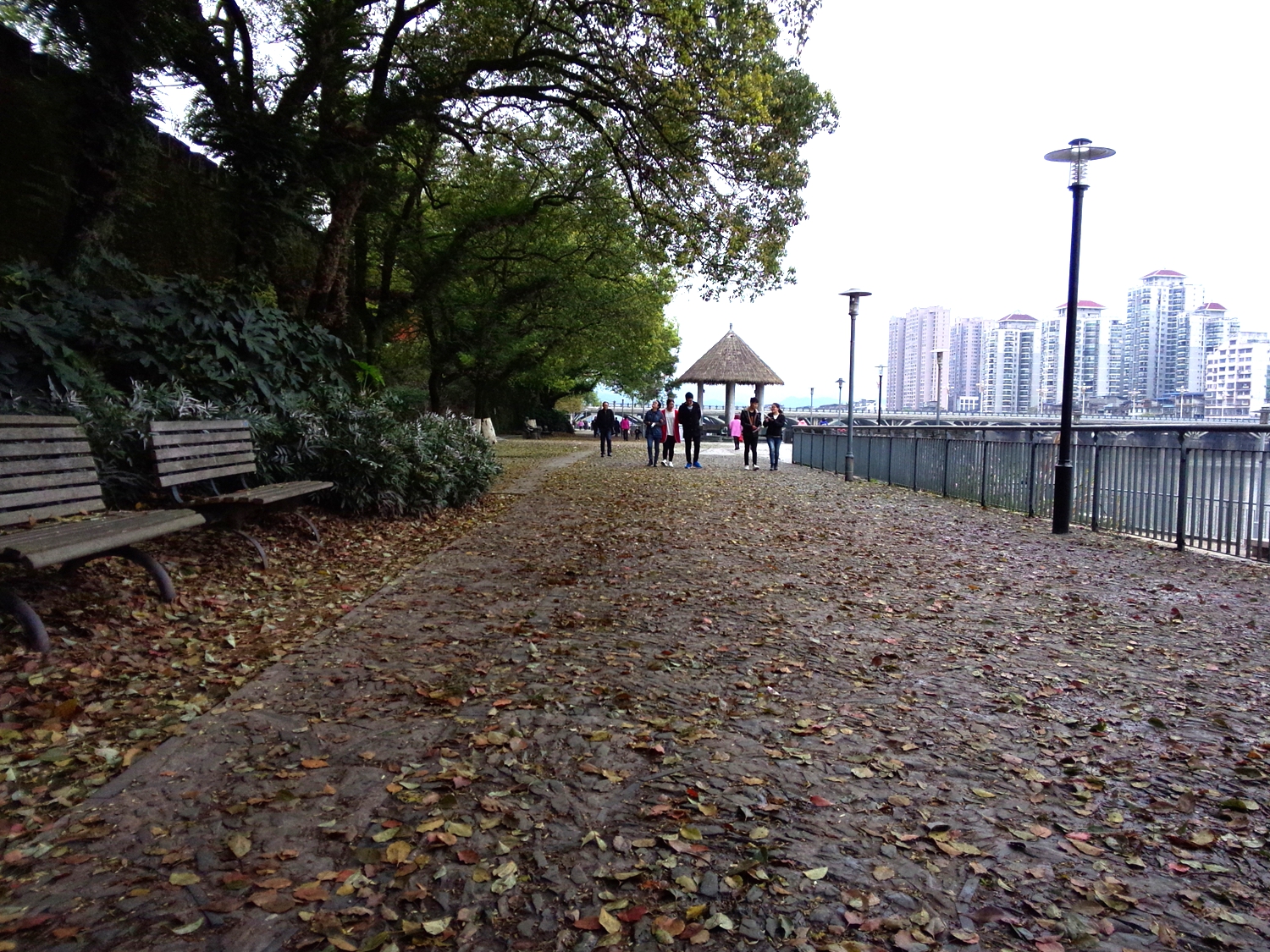 这是秋风扫落叶？还是春风吹又生！
