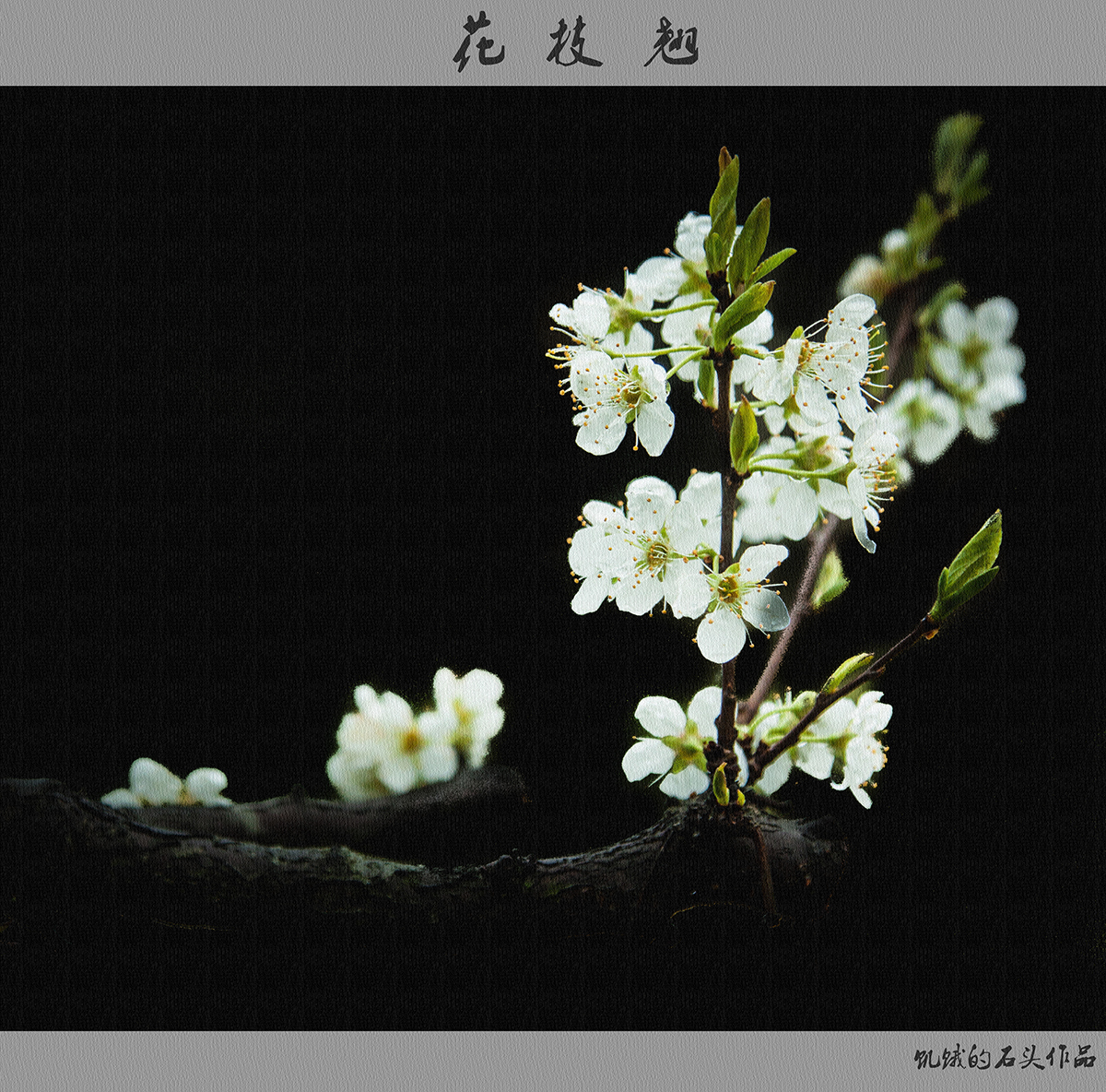 花枝翘