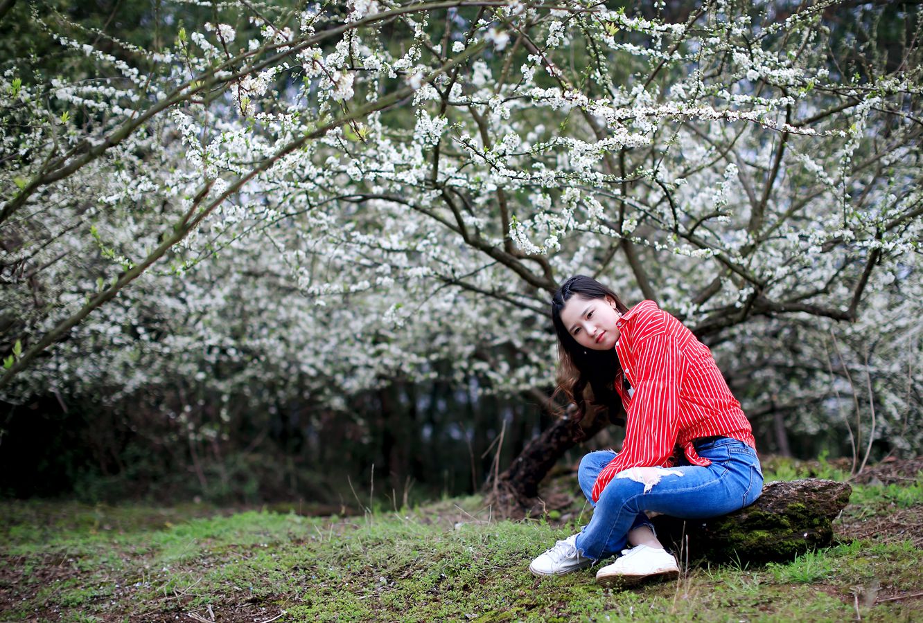 梨花时代