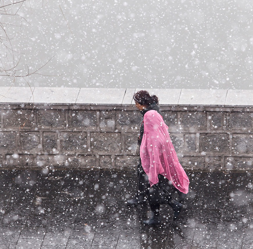 雪中行