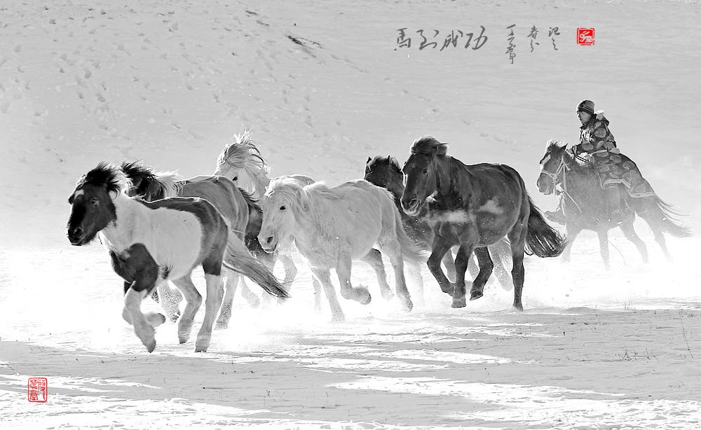 马到成功