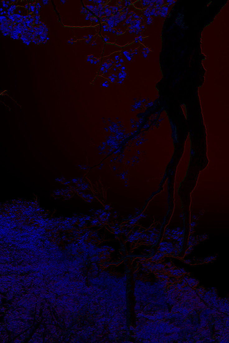 立体摄影