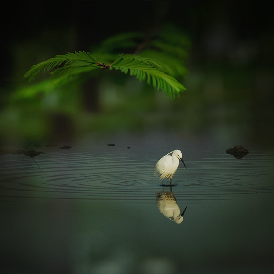 春