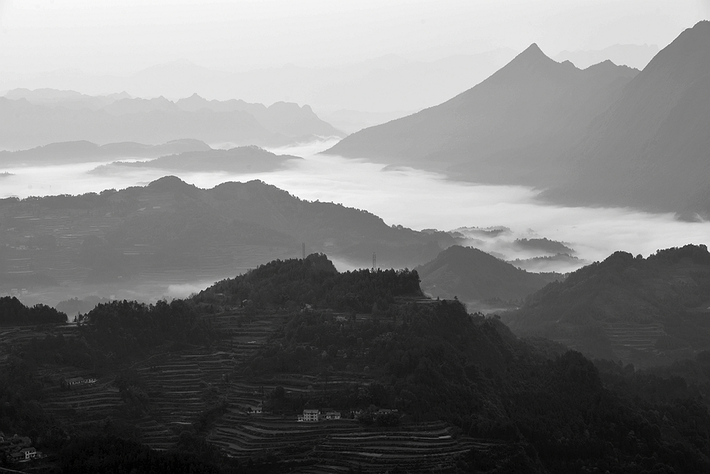 龙凤风景