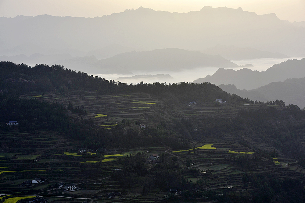 龙凤风景2